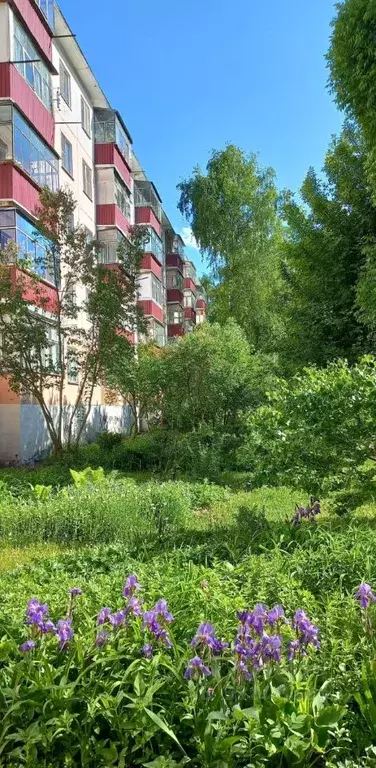 1-к кв. Мордовия, Саранск ул. Косарева, 82 (31.0 м) - Фото 2