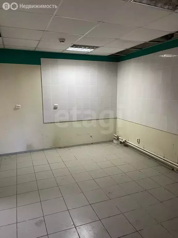 Помещение свободного назначения (146 м) - Фото 1