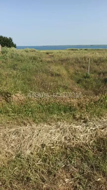 Участок в Краснодарский край, Темрюкский район, Запорожское с/пос, ... - Фото 1