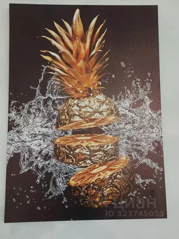 Студия Амурская область, Благовещенский район, с. Чигири ул. ... - Фото 2