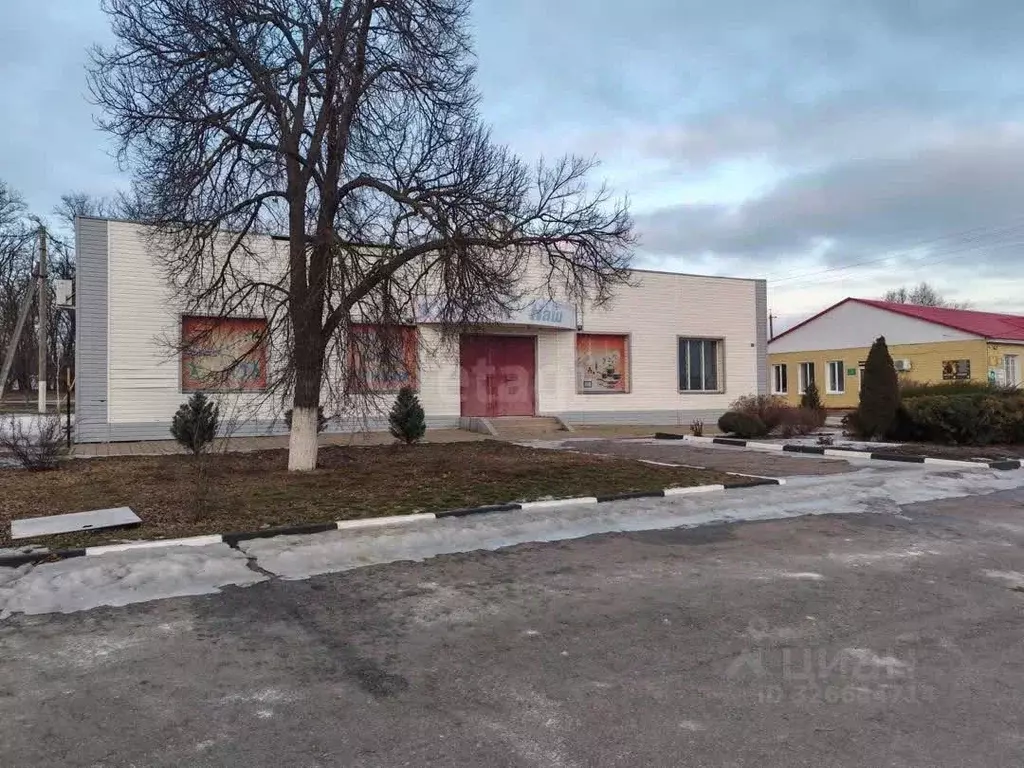 Торговая площадь в Белгородская область, Вейделевский район, с. Белый ... - Фото 1