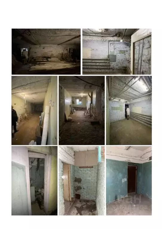 Помещение свободного назначения в Удмуртия, Ижевск ул. Орджоникидзе, ... - Фото 1