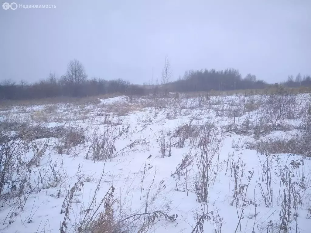 Участок в Алапаевск, Олимпийская улица (10 м) - Фото 1