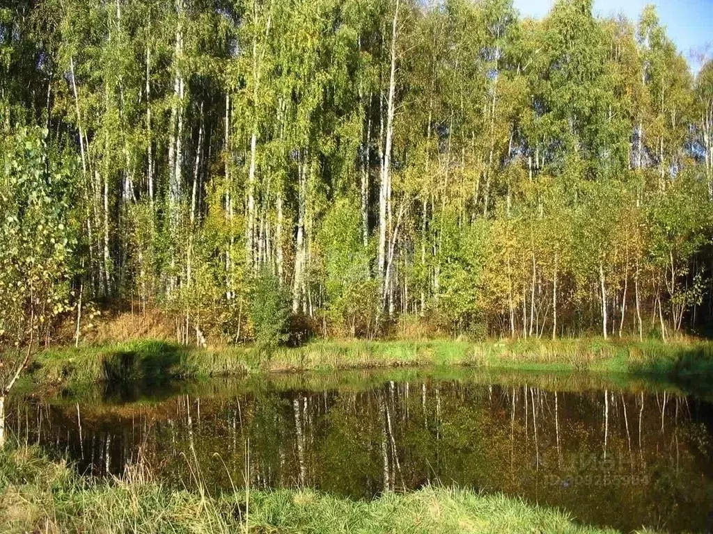 Участок в Нижегородская область, Дальнеконстантиновский муниципальный ... - Фото 0