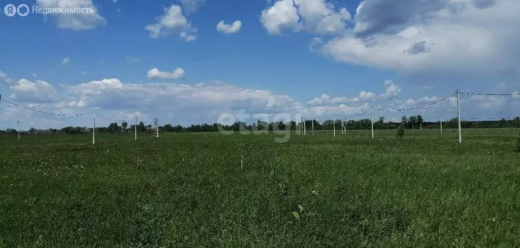 Участок в Колыванский район, ДНТ Сибирская Волость, Губернская улица ... - Фото 0