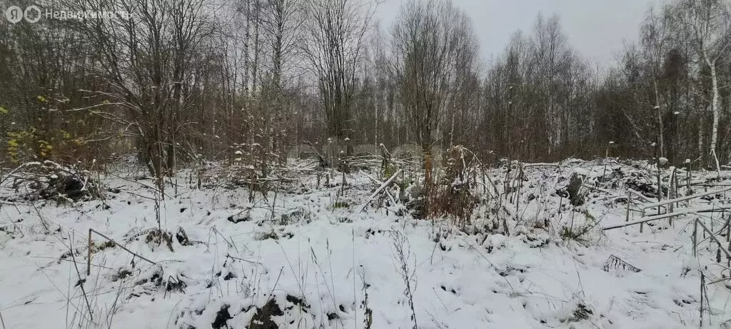 Участок в Дмитровский городской округ, коттеджный посёлок Тихая ... - Фото 0