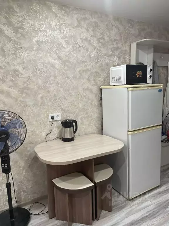 Студия Алтайский край, Благовещенский район, Благовещенка пгт ул. ... - Фото 2