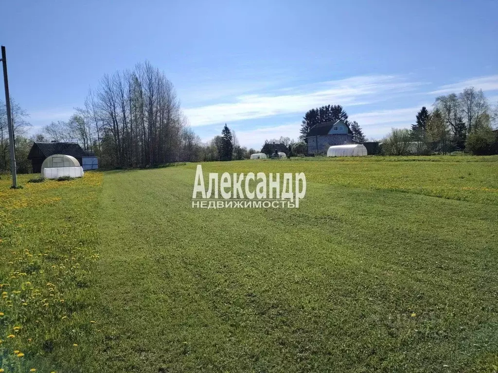 Участок в Ленинградская область, Гатчинский район, д. Корпиково  (16.0 ... - Фото 2