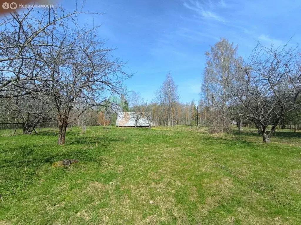 Участок в Мшинская, Ленинградское шоссе, 52 (16.26 м) - Фото 1