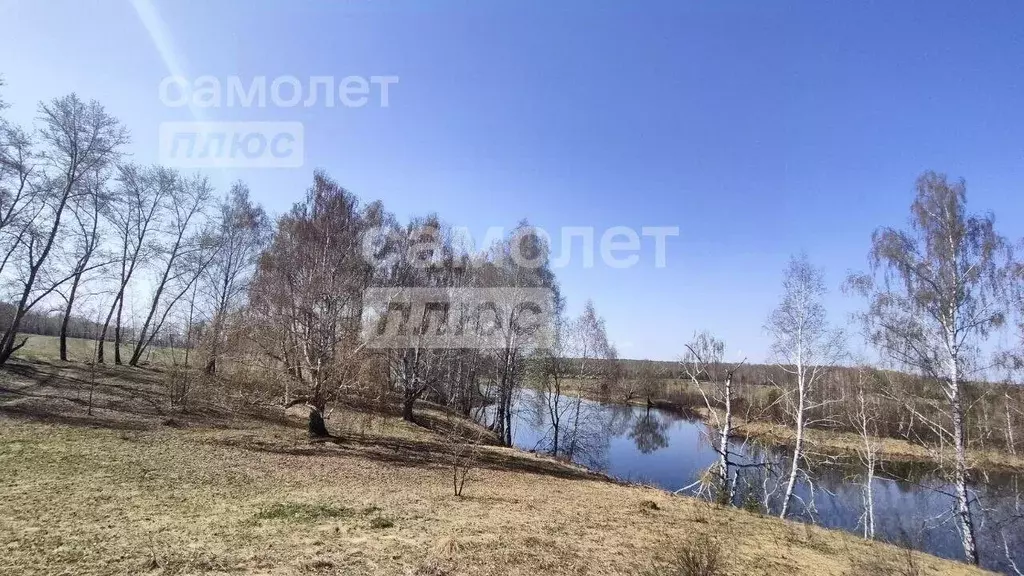 Участок в Челябинская область, Чебаркульский район, д. Сарафаново  ... - Фото 1