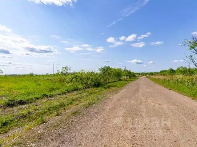 Участок в Хабаровский край, Хабаровский район, с. Краснореченское, ... - Фото 1