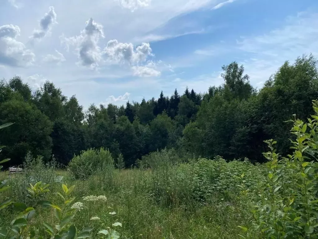 Участок в Московская область, Сергиево-Посадский городской округ, ... - Фото 1