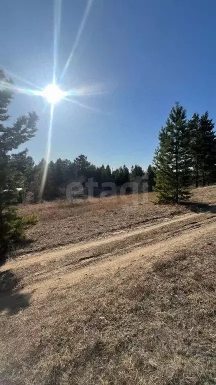 Участок в Бурятия, Тарбагатайский район, Саянтуйское с/пос, с. Нижний ... - Фото 1