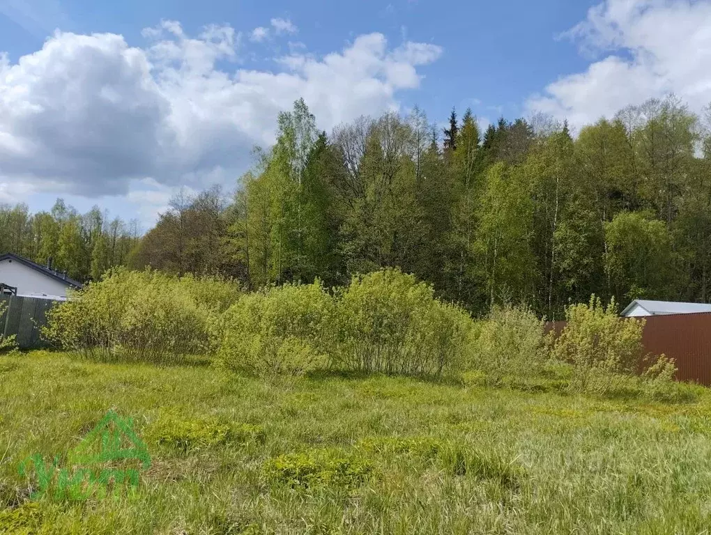 Участок в Московская область, Богородский городской округ, д. ... - Фото 0