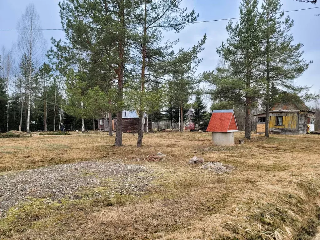 Участок в Ленинградская область, Лужский район, Мшинское с/пос, ... - Фото 2