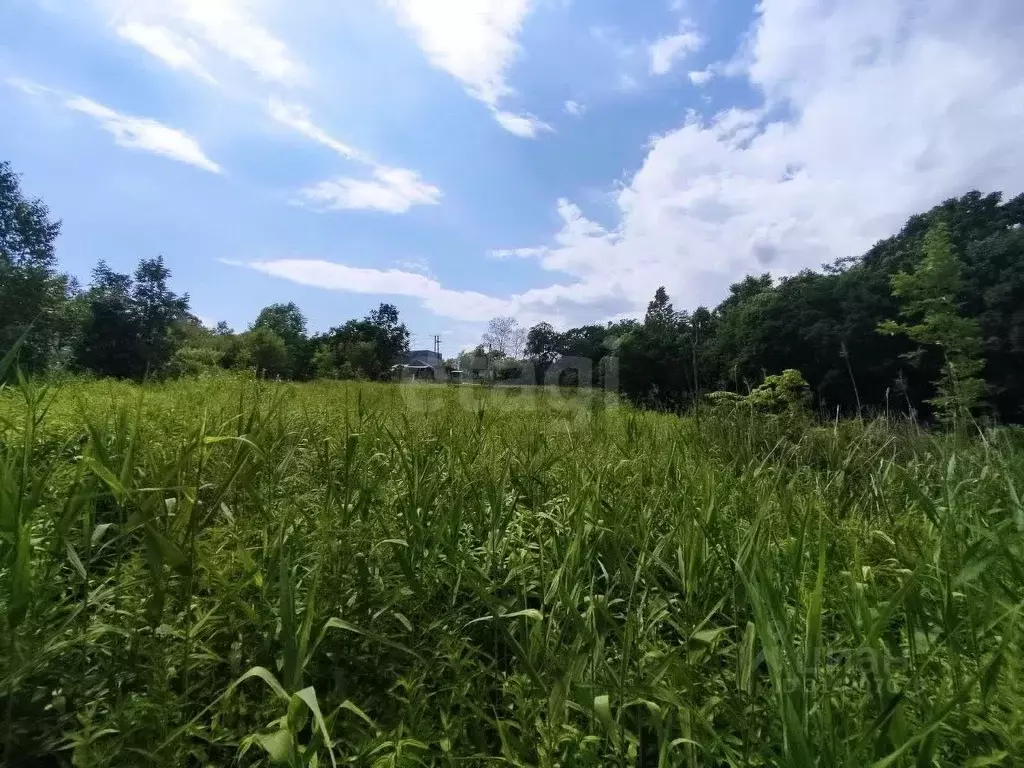 Участок в Приморский край, Надеждинский район, Преображение СНТ  (10.0 ... - Фото 0