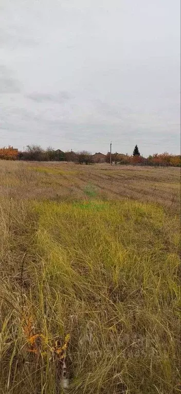 Участок в Белгородская область, Строитель Яковлевский городской округ, ... - Фото 0