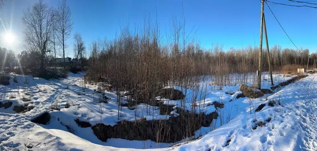 Участок в Ленинградская область, Выборгский район, Красносельское ... - Фото 1