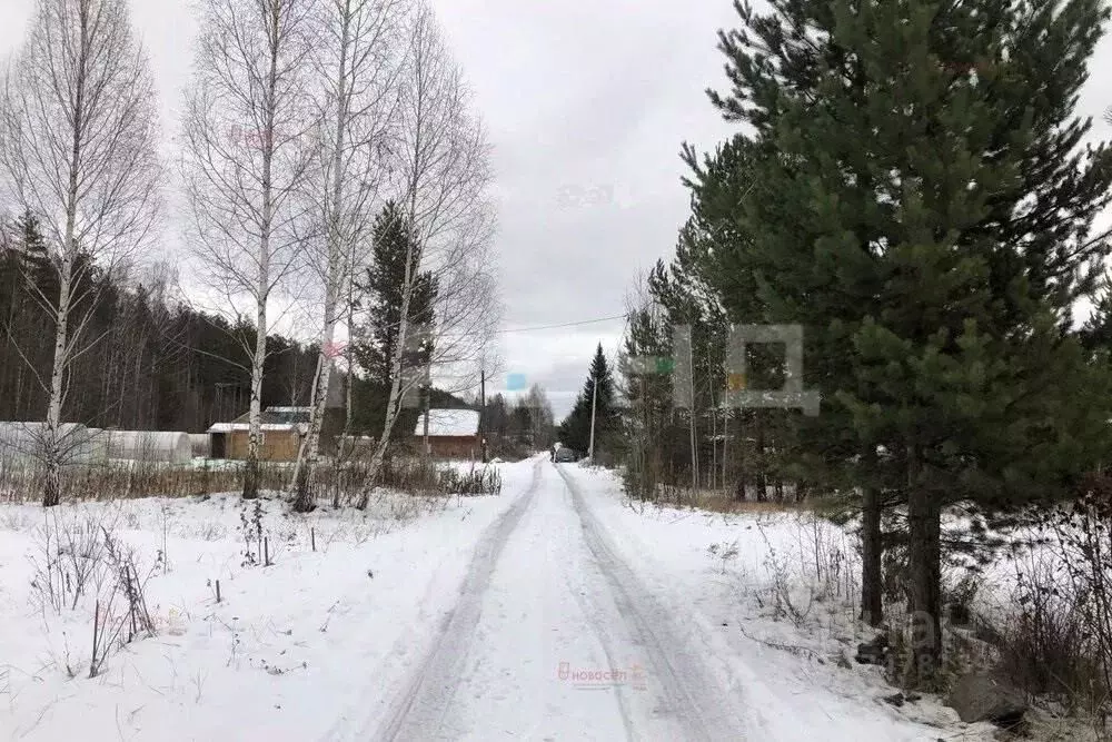 Участок в Ленинградская область, Выборгский район, Рощинское городское ... - Фото 0