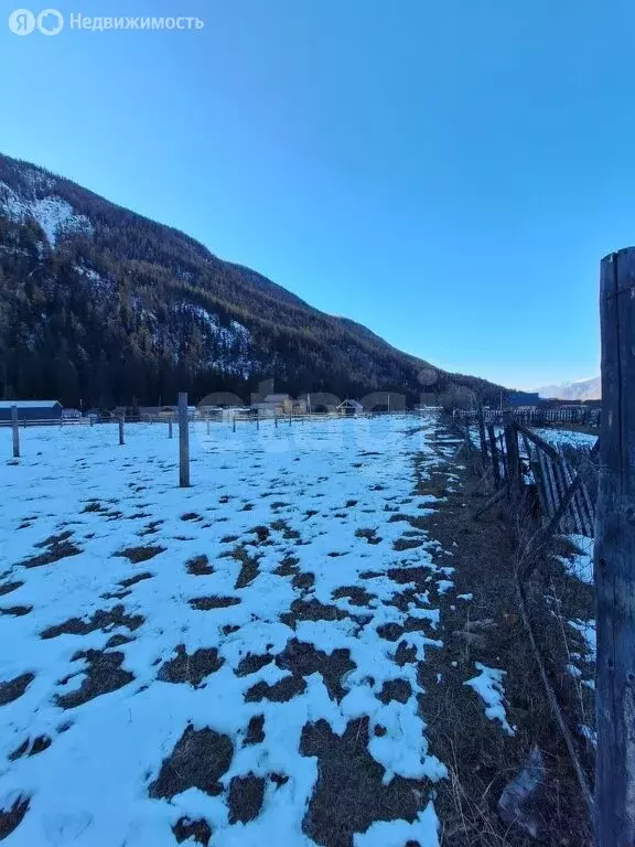 Участок в Акташ, Лесная улица (9.64 м) - Фото 2