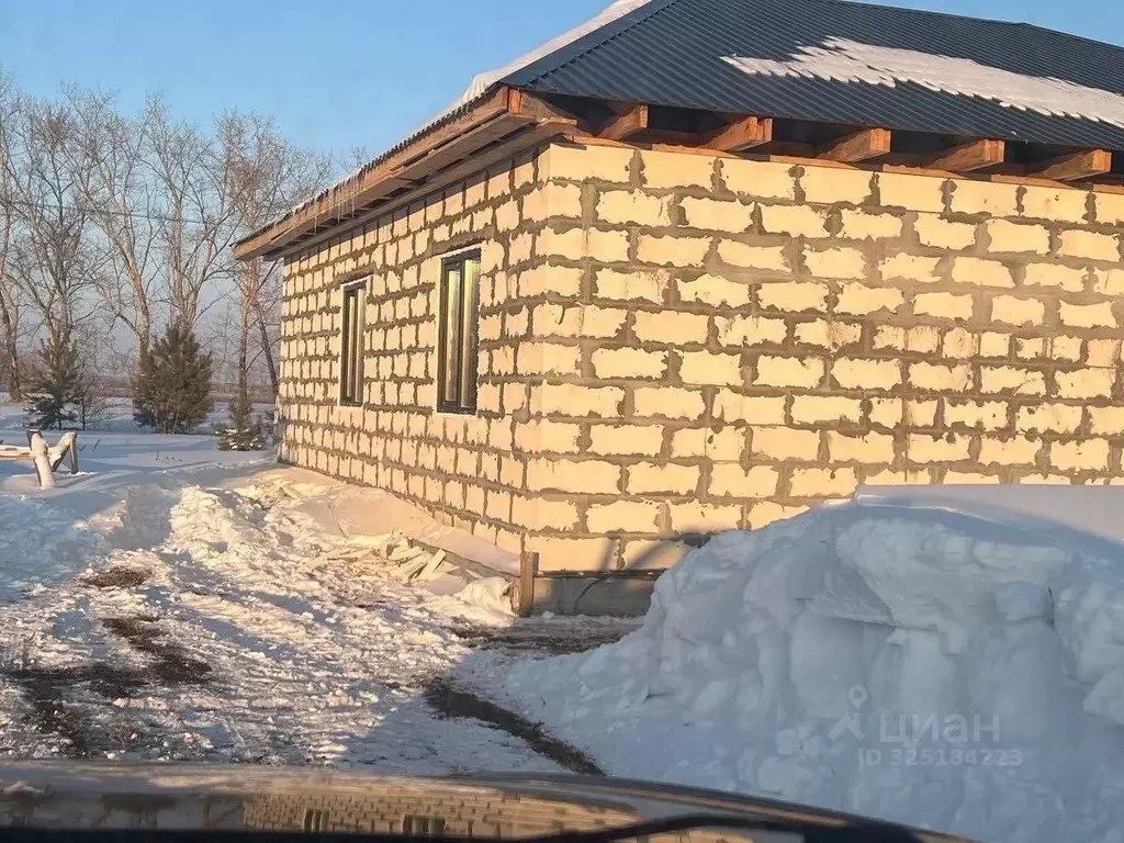 Дом в Алтайский край, Павловский район, пос. Новые зори Молодежная ул. ... - Фото 2