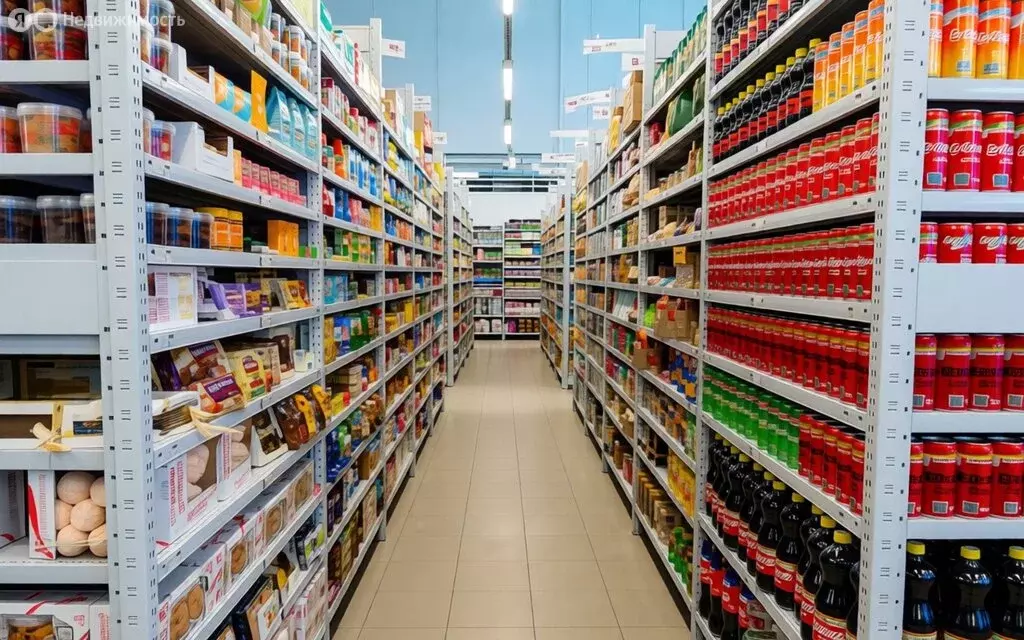 Торговая площадь (522 м) - Фото 2