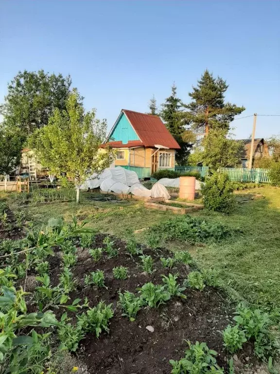 Дом в Новгородская область, Чудово Яблонька садовое товарищество,  (11 ... - Фото 2