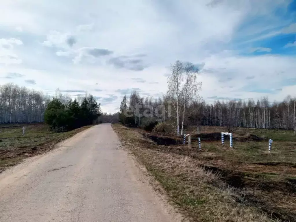 участок в нижегородская область, богородский муниципальный округ, д. . - Фото 0