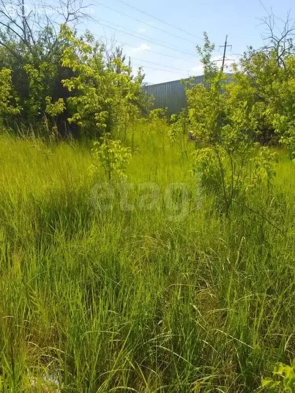 Участок в село Георгиевка, Кооперативная улица (11.47 м) - Фото 2