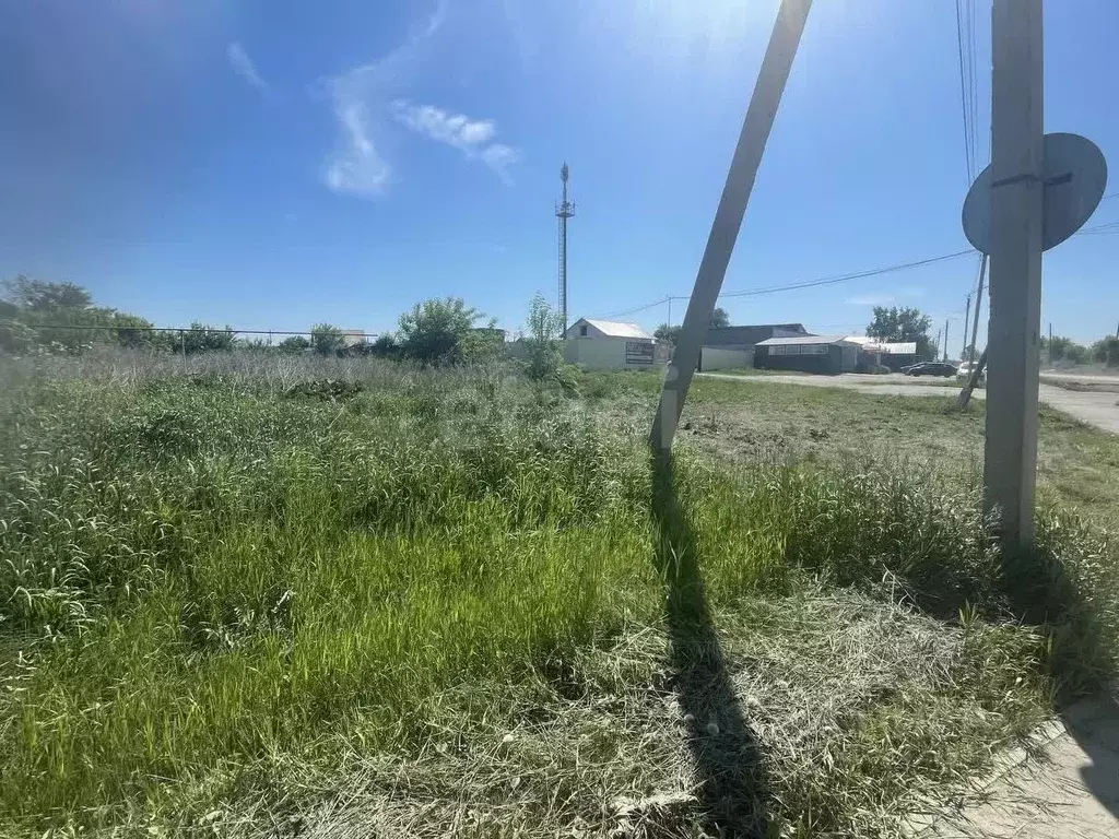 Участок в Челябинская область, Пласт ул. Вагина (10.0 сот.) - Фото 1