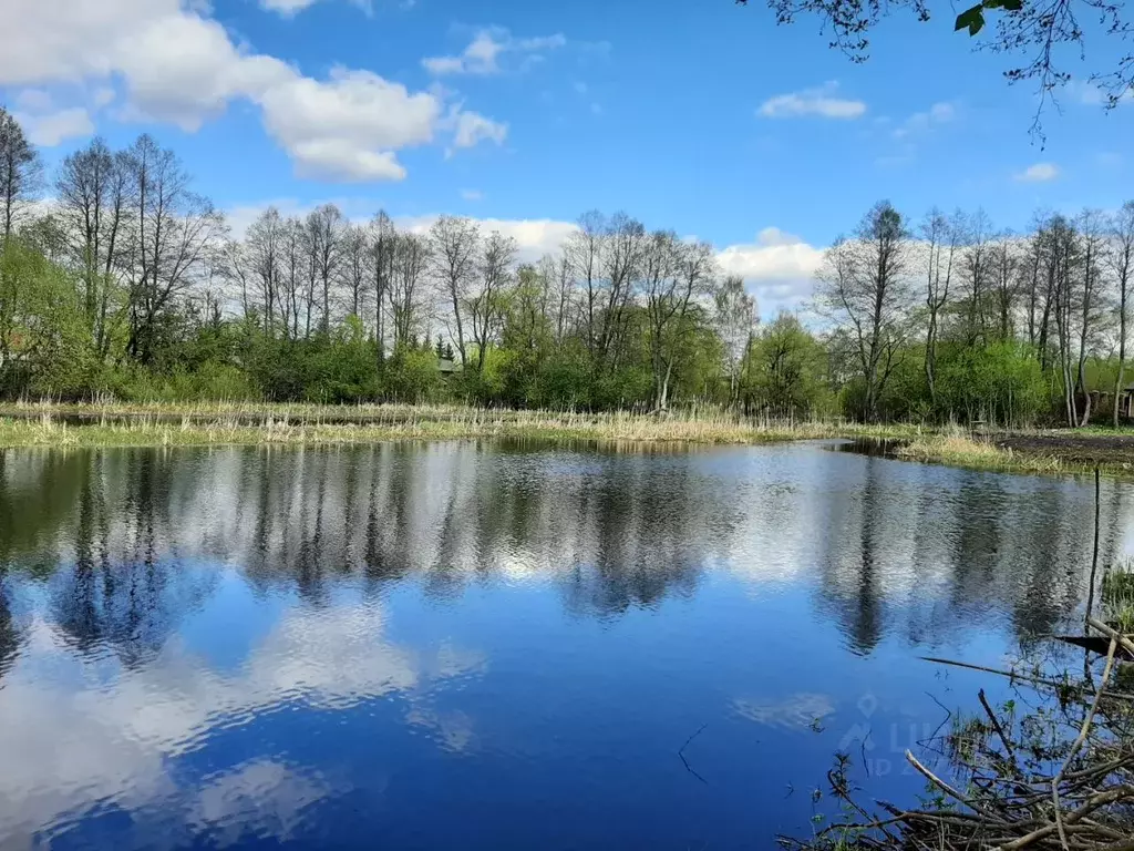 Участок в Тверская область, Конаковский муниципальный округ, д. ... - Фото 1