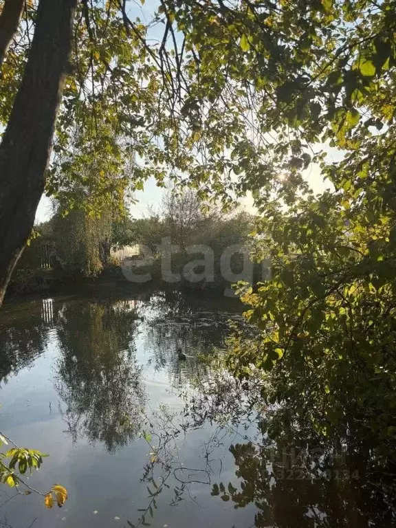 Участок в Марий Эл, Медведевский район, Сидоровское с/пос, Дружба СНТ, ... - Фото 1