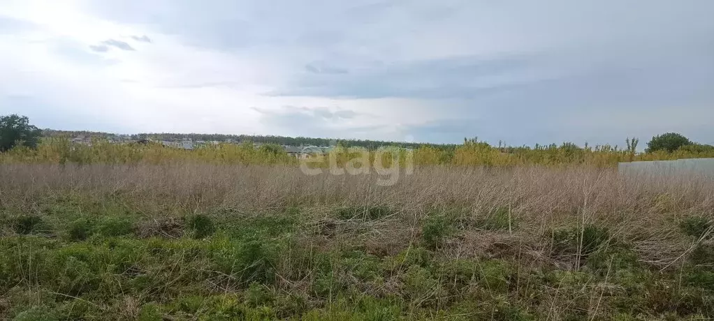 Участок в Воронежская область, Семилукский район, с. Девица, Поречье-2 ... - Фото 0