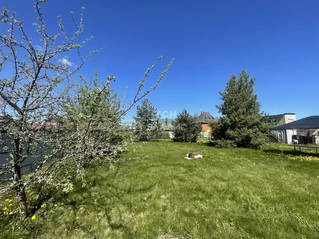 Участок в Московская область, Щелково городской округ, Купол садовое ... - Фото 2