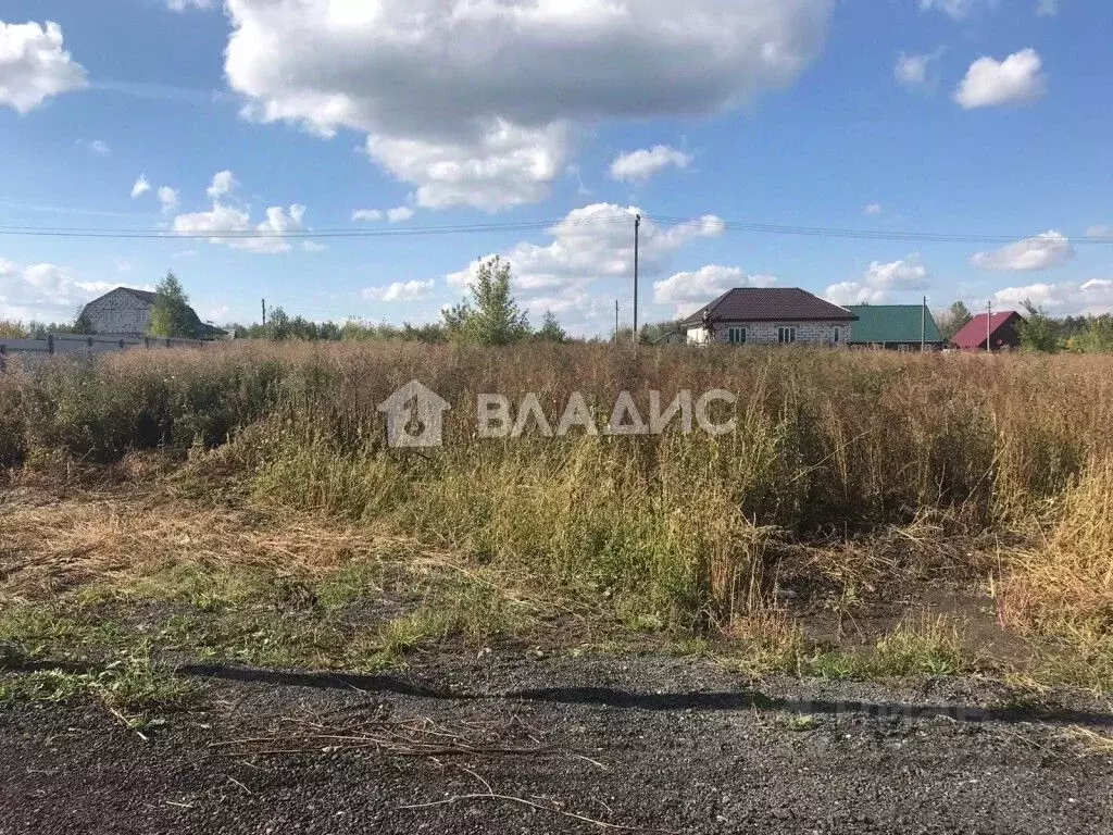 Участок в Пензенская область, Бессоновский район, с. Чемодановка  ... - Фото 1