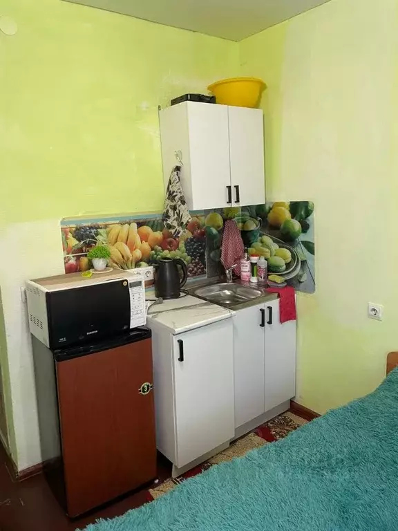 1-к кв. Алтай, Горно-Алтайск Красноармейская ул., 11 (30.0 м) - Фото 0