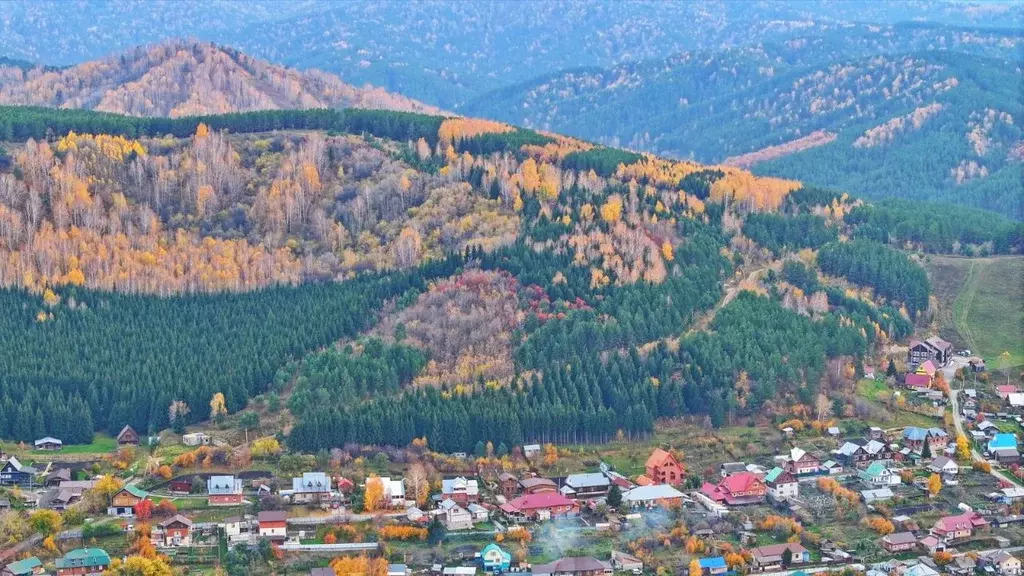 Участок в Алтайский край, Белокуриха Горный пер., 30 (3.0 сот.) - Фото 1