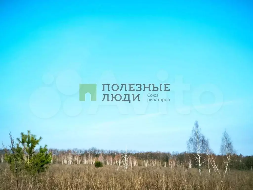Участок 10 сот. (ИЖС) - Фото 1