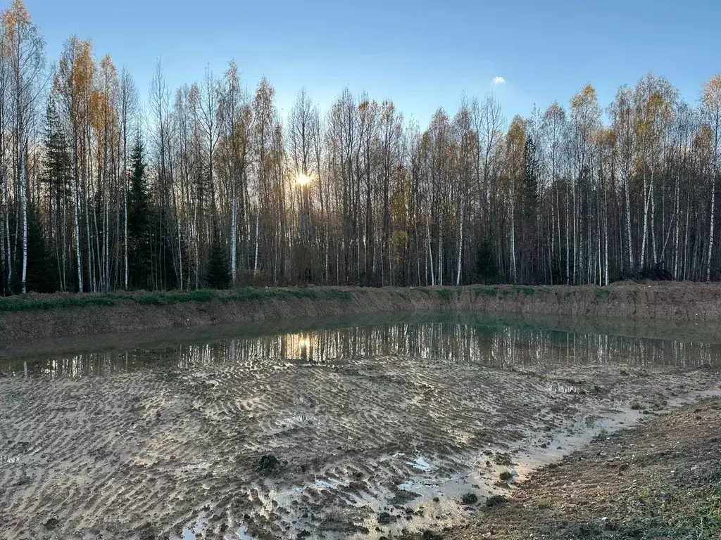 Участок, 587 сот., сельхоз (снт или днп) - Фото 0