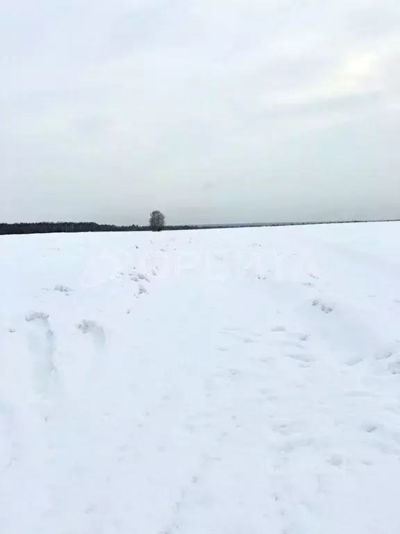 участок в тюменская область, тюменский район, горошинка снт (600.0 . - Фото 0