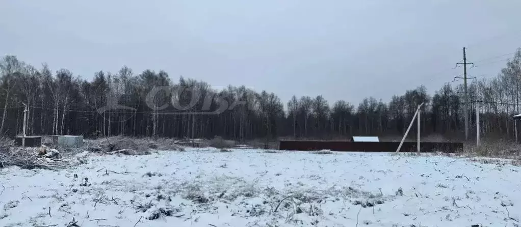 Участок в Тюменская область, Тобольск ул. Стеллера (12.0 сот.) - Фото 2