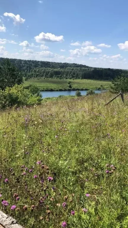 Участок в Калужская область, Дзержинский муниципальный округ, Угорское ... - Фото 1