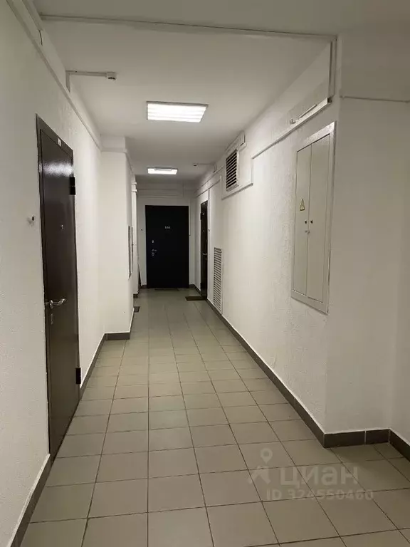 1-к кв. Ленинградская область, Мурино Всеволожский район, бул. ... - Фото 1