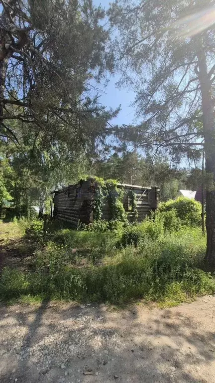 Участок 6 сот. (СНТ, ДНП) - Фото 0
