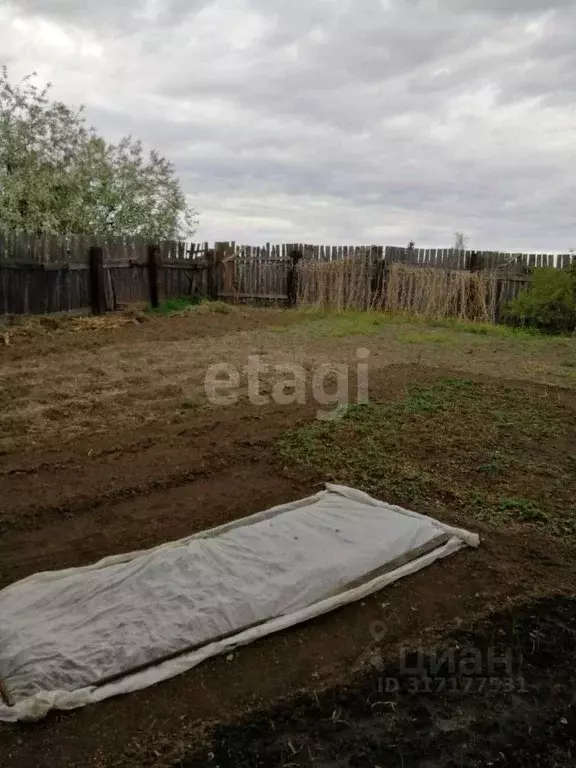 Дом в Амурская область, Благовещенский район, с. Волково  (31 м) - Фото 0