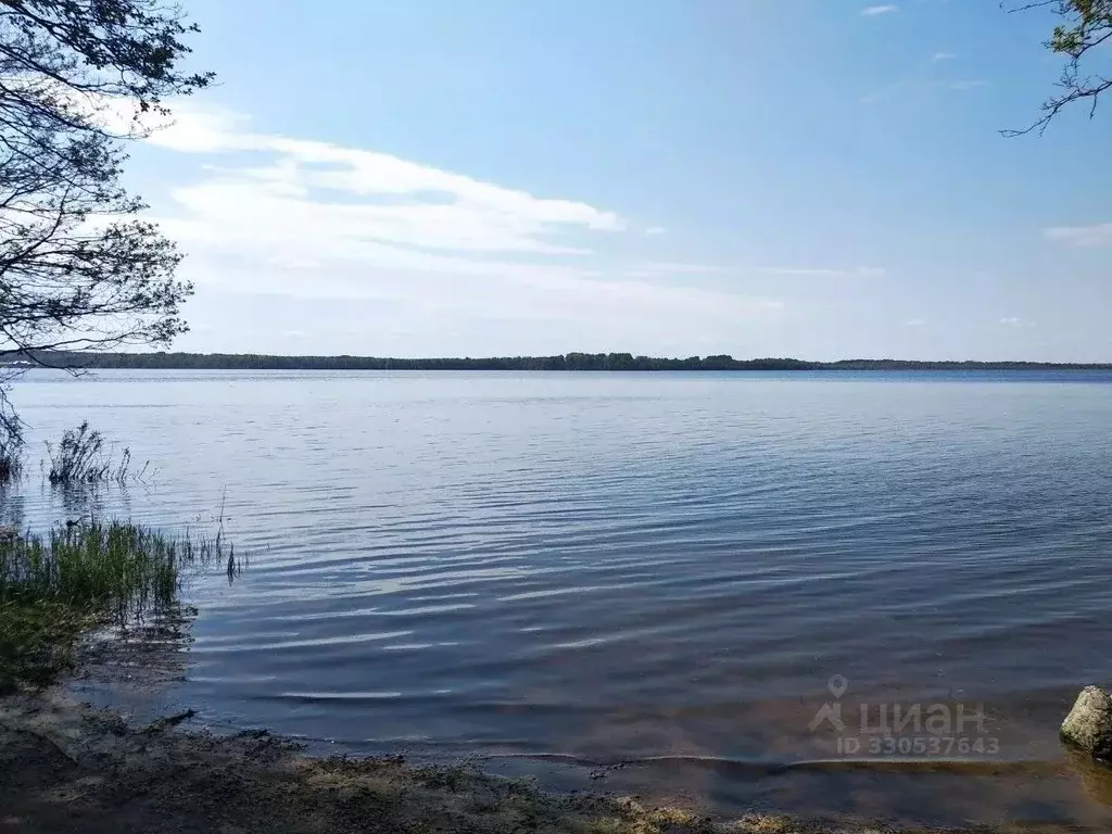 Участок в Ленинградская область, Приозерский район, Красноозерное ... - Фото 1