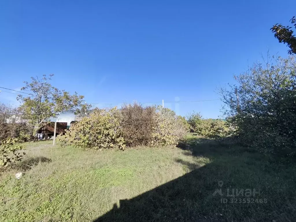 Участок в Севастополь СНТ Эдельвейс ТСН, 1к3Г (9.2 сот.) - Фото 1