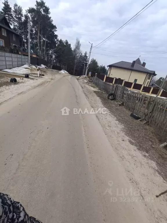 Участок в Воронежская область, Рамонский район, с. Ямное ул. Ленина, ... - Фото 1