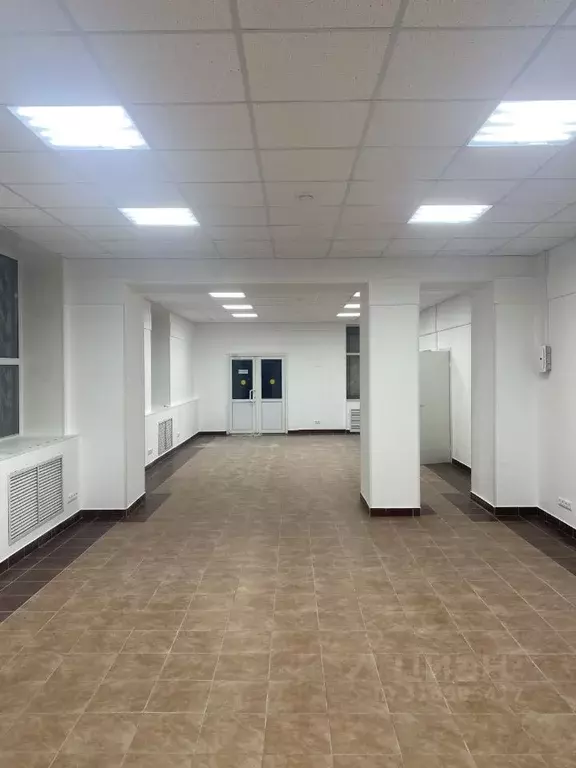 Торговая площадь в Московская область, Раменский муниципальный округ, ... - Фото 1