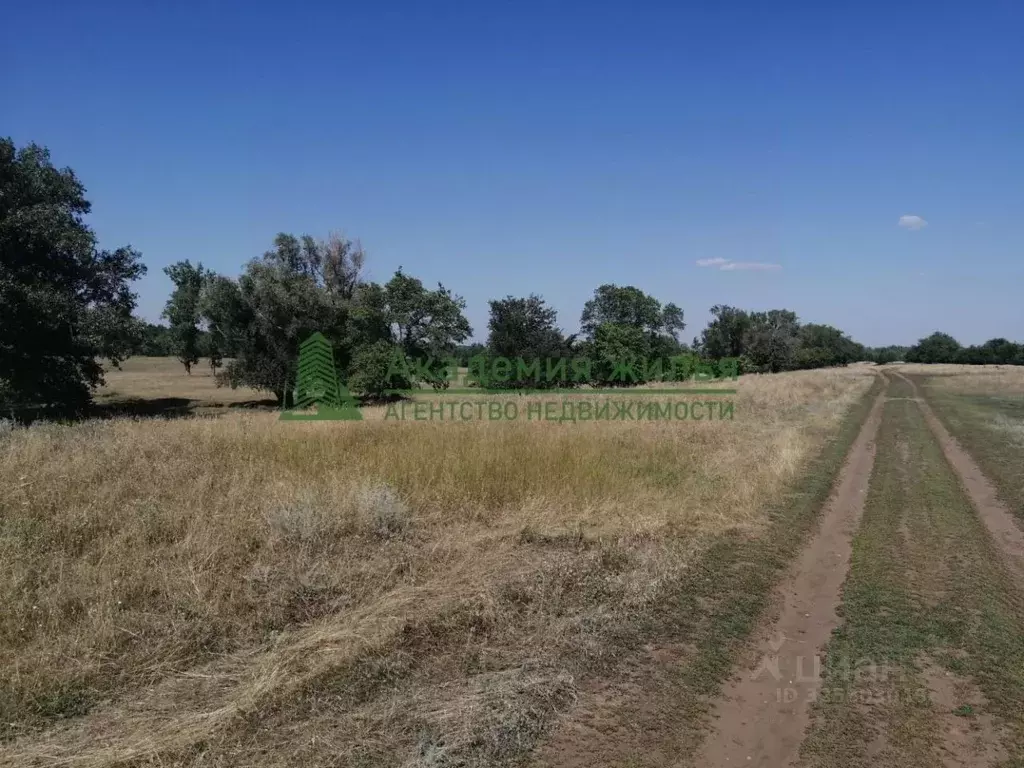 Участок в Саратовская область, Марксовский район, Подлесновское ... - Фото 1